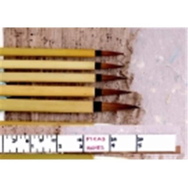 School Specialty School Specialty Fine Brown Hair Bamboo Handle Watercolor Paint Brush - Size 6 463550 - main